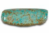 Polished Turquoise Specimen - Number Mine, Carlin, NV #260499-1